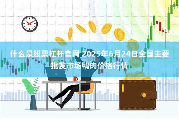 什么是股票杠杆官网 2025年6月24日全国主要批发市场鸭肉价格行情