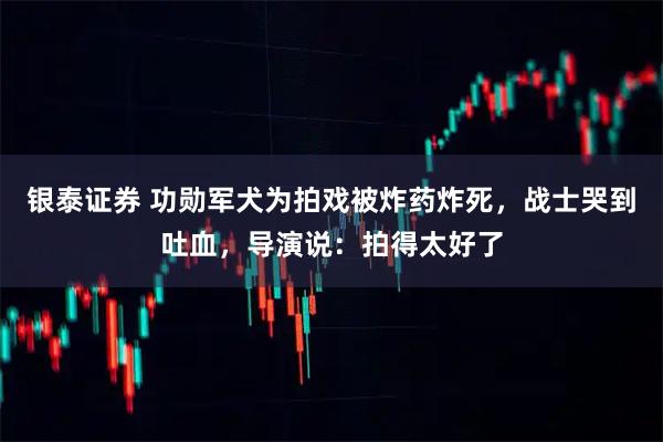 银泰证券 功勋军犬为拍戏被炸药炸死，战士哭到吐血，导演说：拍得太好了