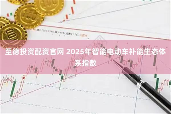 至德投资配资官网 2025年智能电动车补能生态体系指数