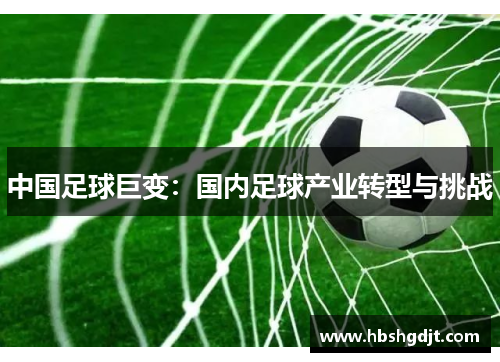 中国足球巨变：国内足球产业转型与挑战